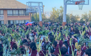 Celebración Domingo de Ramos, todos los ciclos